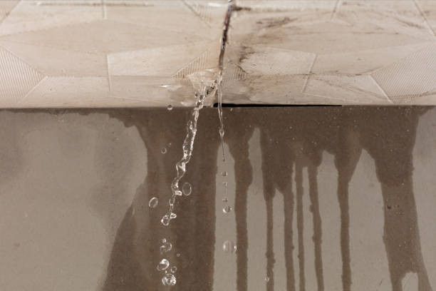 Professional Structural Drying technician working in Victoria, MN